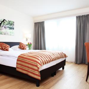 Large One-Bedroom Apartment