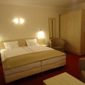 Superior Twin Room with Balcony and Mountain View