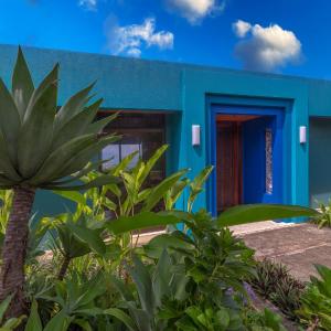 Star Villa 