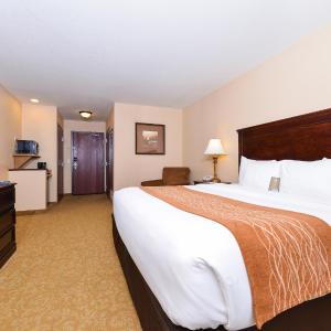 King Room - Non-Smoking