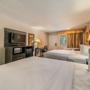 Queen Room with Two Queen Beds - Disability Access