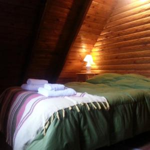 Family Cabin (5 Adults)