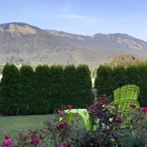 Apartment with Mountain View