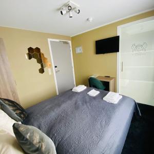 Double or Twin Room with Bathroom