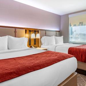 Standard Queen Room with Two Queen Beds - Non Smoking 