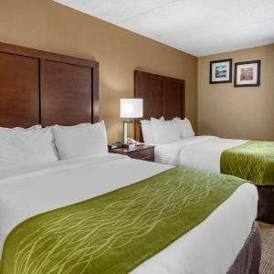 Double Room - Non-Smoking 