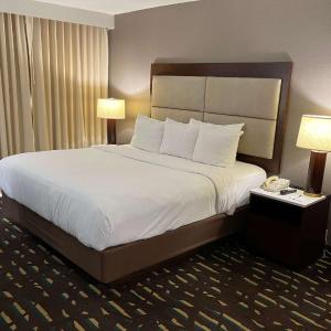 King Room - Non-Smoking