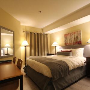Standard  Double Room - No Kitchen