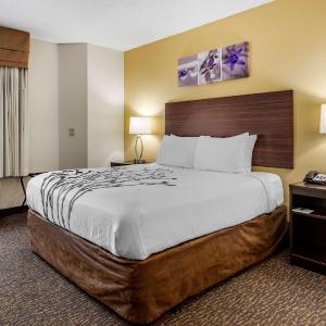 Queen Room - Accessible/Non-Smoking