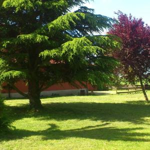 Two-Bedroom Apartment with Garden View