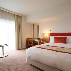 Double Room with Mt. Fuji Susono View