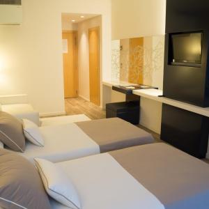 Basic Double or Twin Room