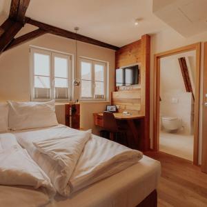 Big studio apartment