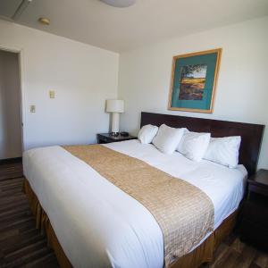 One-Bedroom King Suite - Non-Smoking
