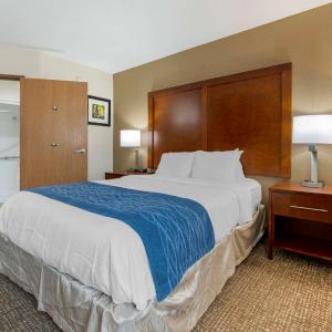 Queen Room - Accessible/Non-Smoking