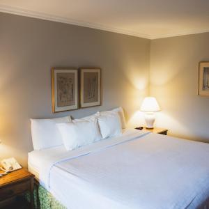 Deluxe Double or Twin Room with Garden View