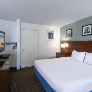 King Room - Disability Access - Non-Smoking