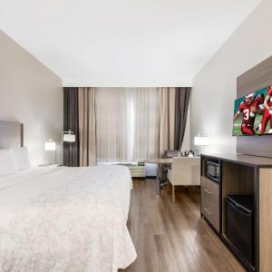 Premium King Room Disability Access Roll-In Shower Smoke Free (Upgraded Bedding and Snack Box)