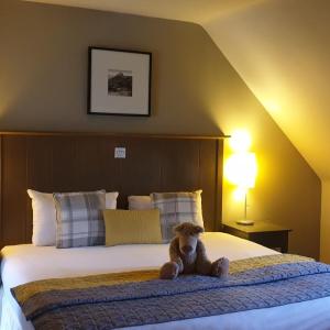Double Guest Room