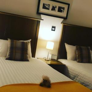 Twin Guest Room