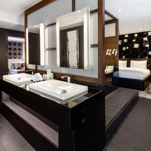 One-Bedroom Suite with Terrace