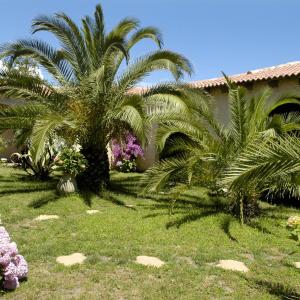 Standard Double or Twin Room with Garden View