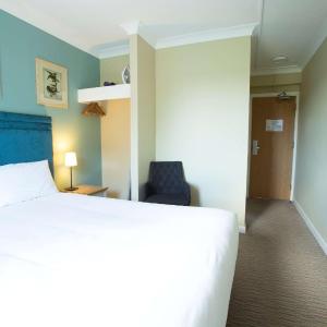 Deluxe King Room with View - Non-Smoking 