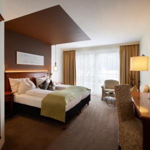 Comfort Double Room with Mountain View