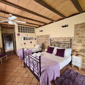 Suite LiLa