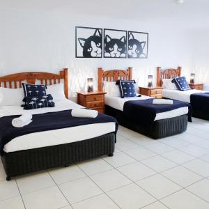 Family Room (2 Queen Beds + 2 Single Beds)