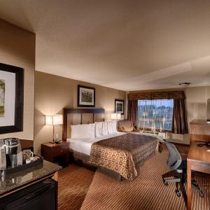 King Room with Roll-In Shower - Disability Access