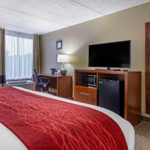 King Room - Non-Smoking