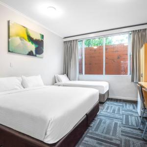 Studio with King Bed and Single Bed