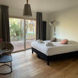 Suite with Spa Access