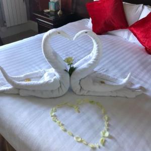 Superior Double or Twin Room with Sea View