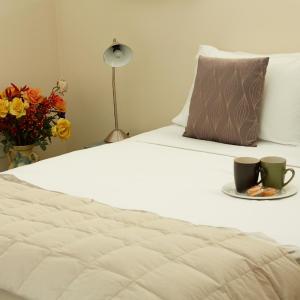 Superior One-Bedroom Apartment
