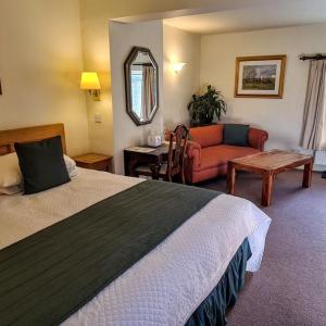 Courtyard - Double or Twin (Pet-Friendly)