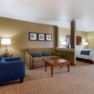 King Suite with Sofa Bed