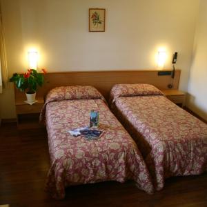 Double or Twin Room with Mountain View