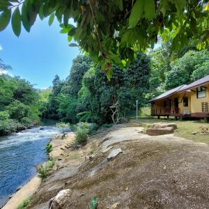 Bungalow - Water Front 