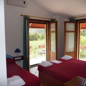 Basic Triple Room