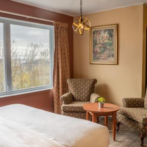 Superior Queen Room