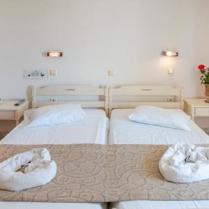 Ground Floor Standard Twin Room