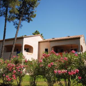 Superior Villa