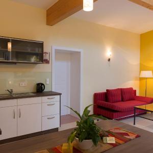 Studio with Terrace