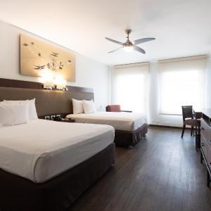 Twin Room with Pool View