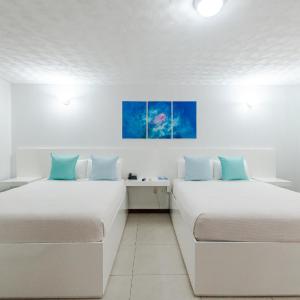 Queen Paradise Room