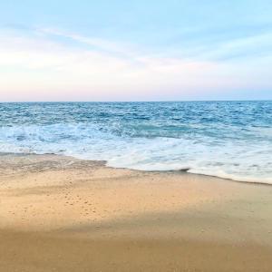 Room with Two Double Beds with Ocean View - Pet Friendly