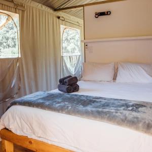 Classic tent (hot tub)