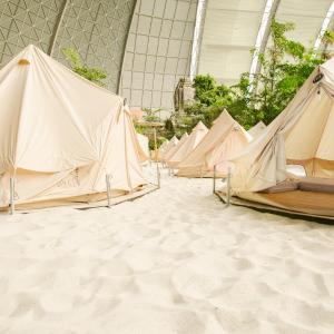 4-Person Tent